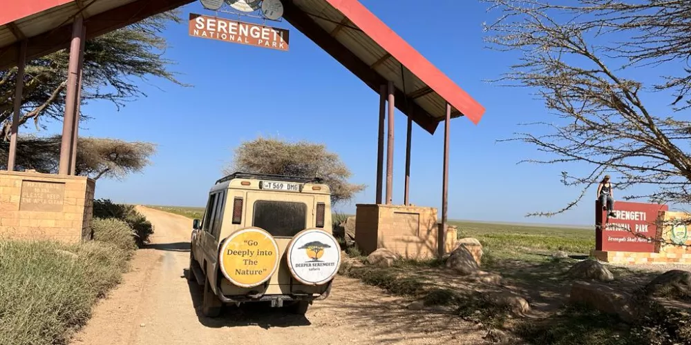 Like dare a Solo Traveller