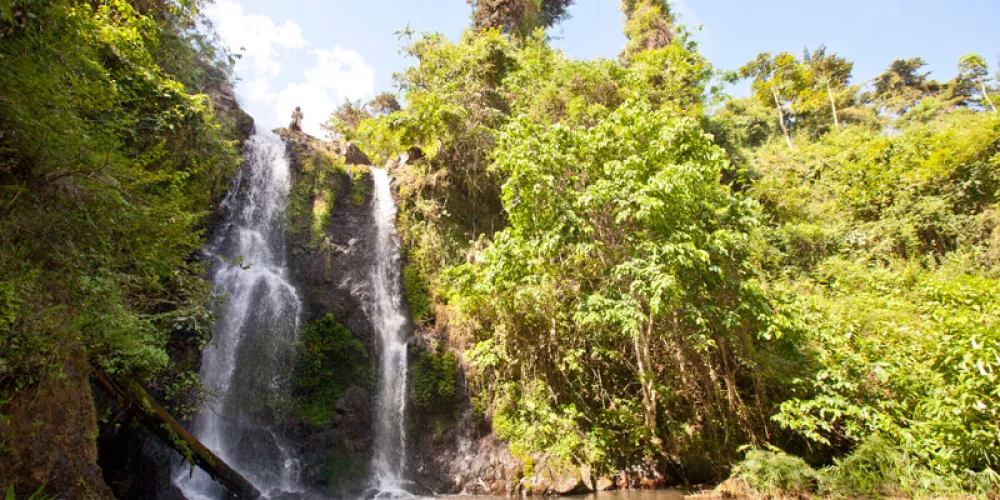 MARANGU WATERFALL/COFFEE TOUR DAY TRIP