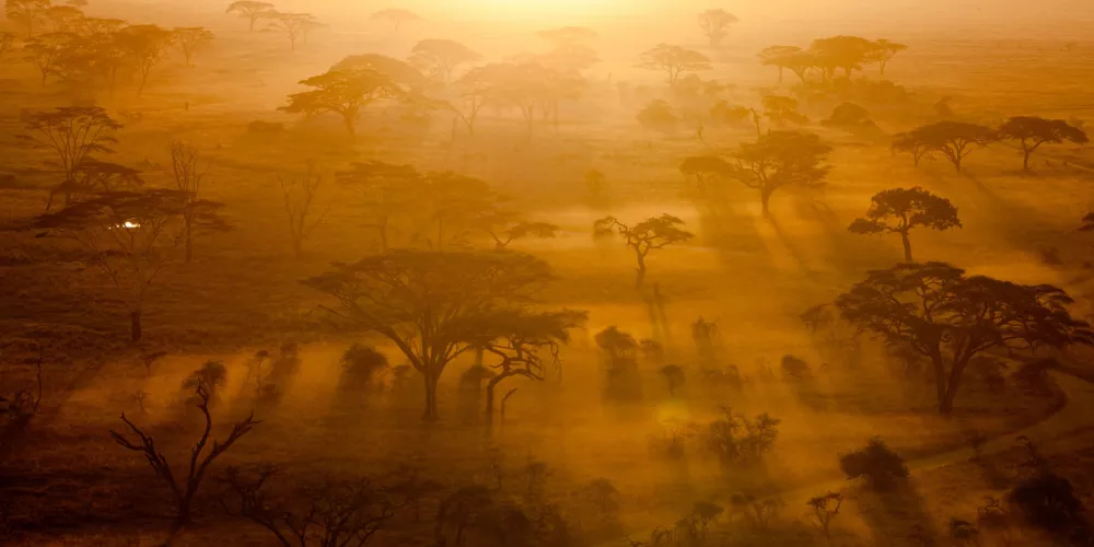 Tanzania local laws and customs