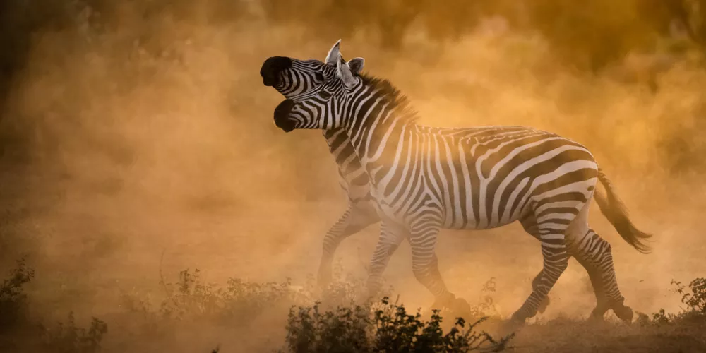 How much should you tip in Tanzania