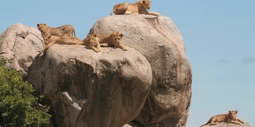 Serengeti National Park's Geology