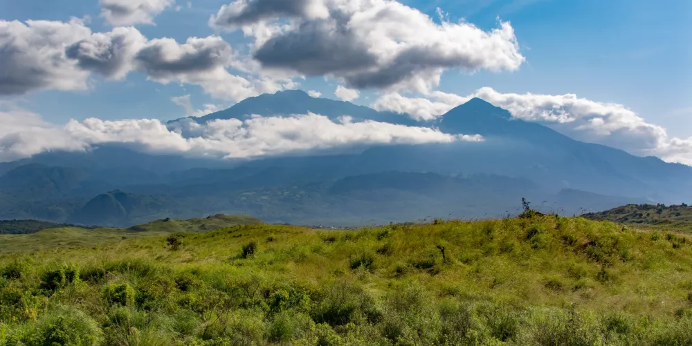 What are Fauna and Flora in Tanzania