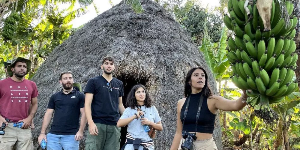 Tanzania Accommodation