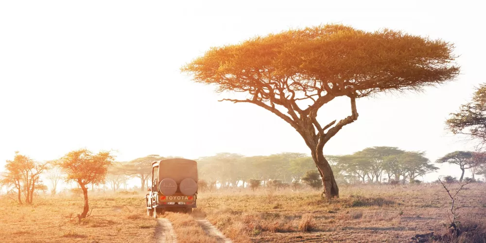 Marangu Moshi activities Tanzania