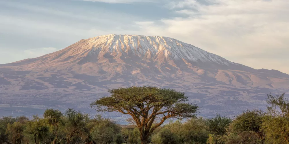 Trek safaris in Tanzania