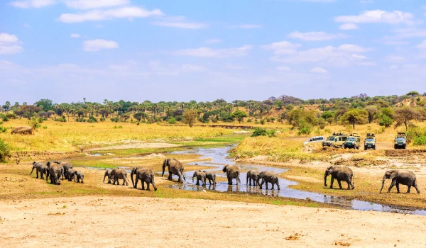 Tarangire National Park