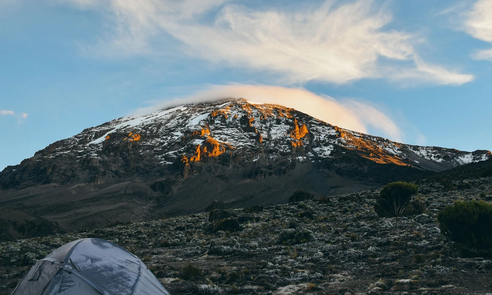 Mt Kilimanjaro View