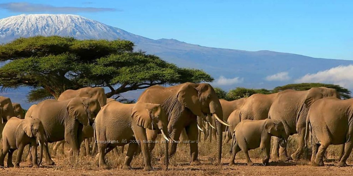 Mount Kilimanjaro National Park