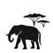 walking-safari icon
