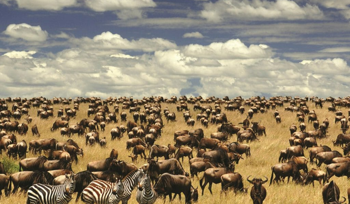 Serengeti National Park