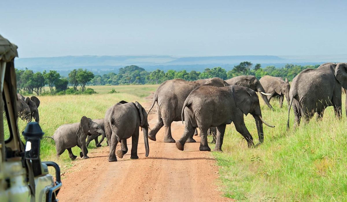 Tarangire National Park