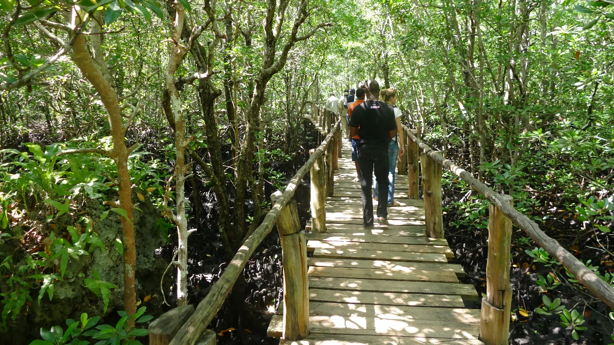 Discover the Magic of Tanzania: A Tailor-Made Safari with Nathan African Safari