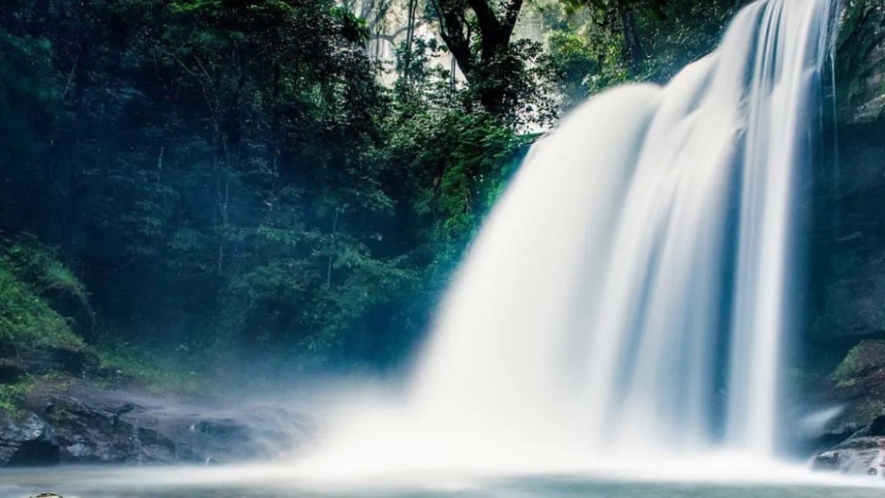 Discover the Magic of Tanzania: A Tailor-Made Safari with Nathan African Safari