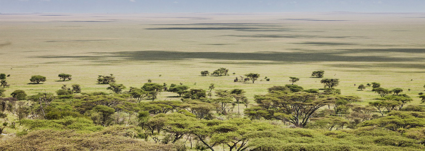 Into the Wild of Ngorongoro