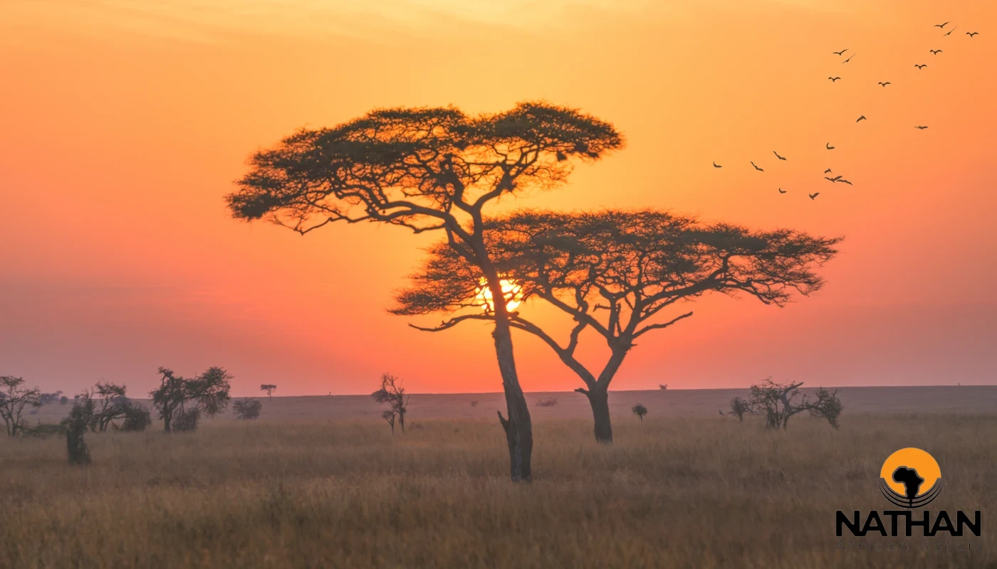 Tarangire, Ngorongoro & Hadzabe Cultural Safari