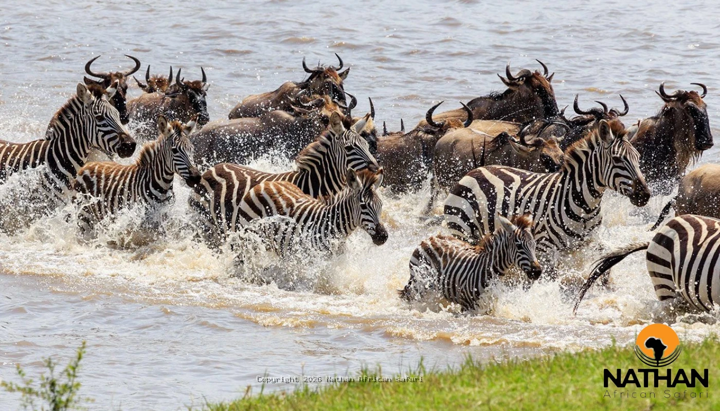 Great River Crossing & Big Five Safari