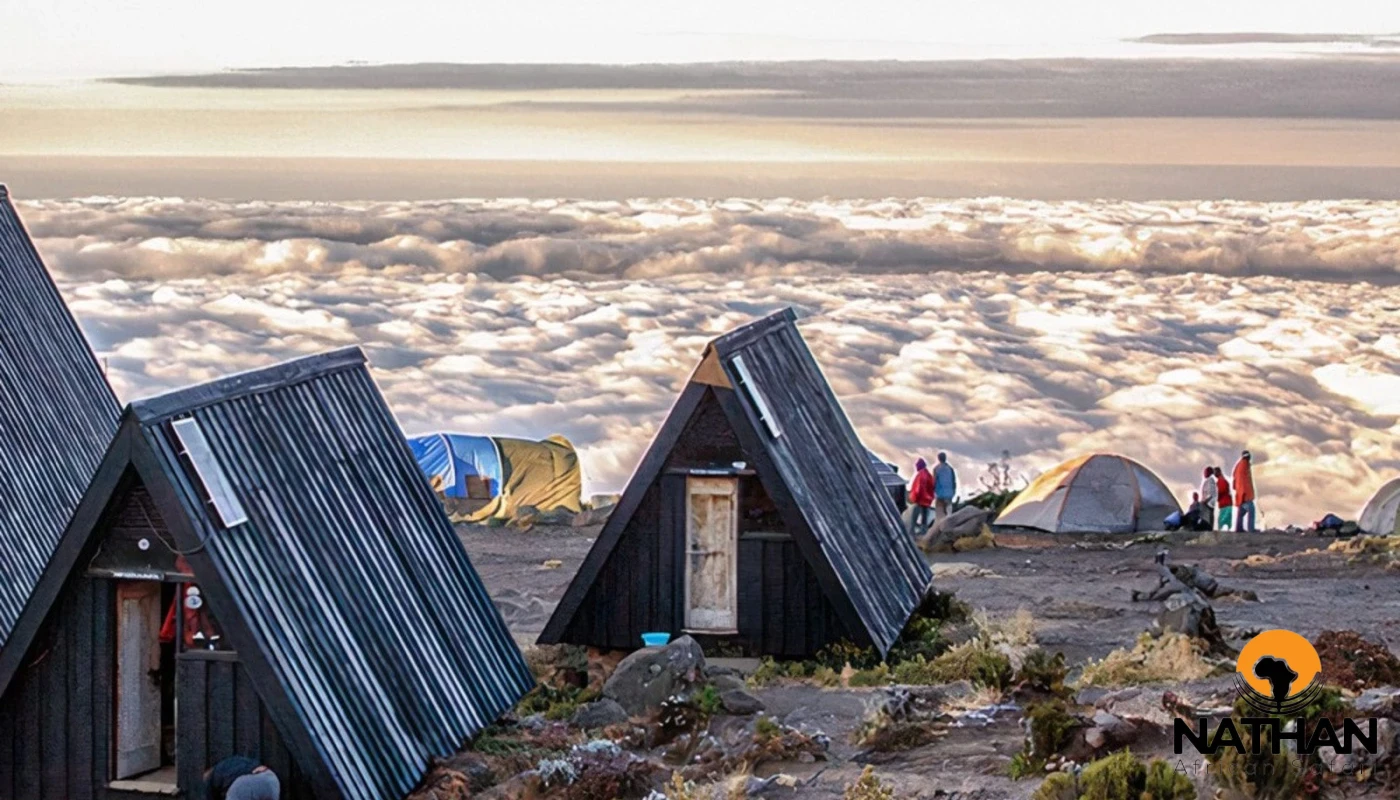 Marangu Route Climb Mount Kilimanjaro